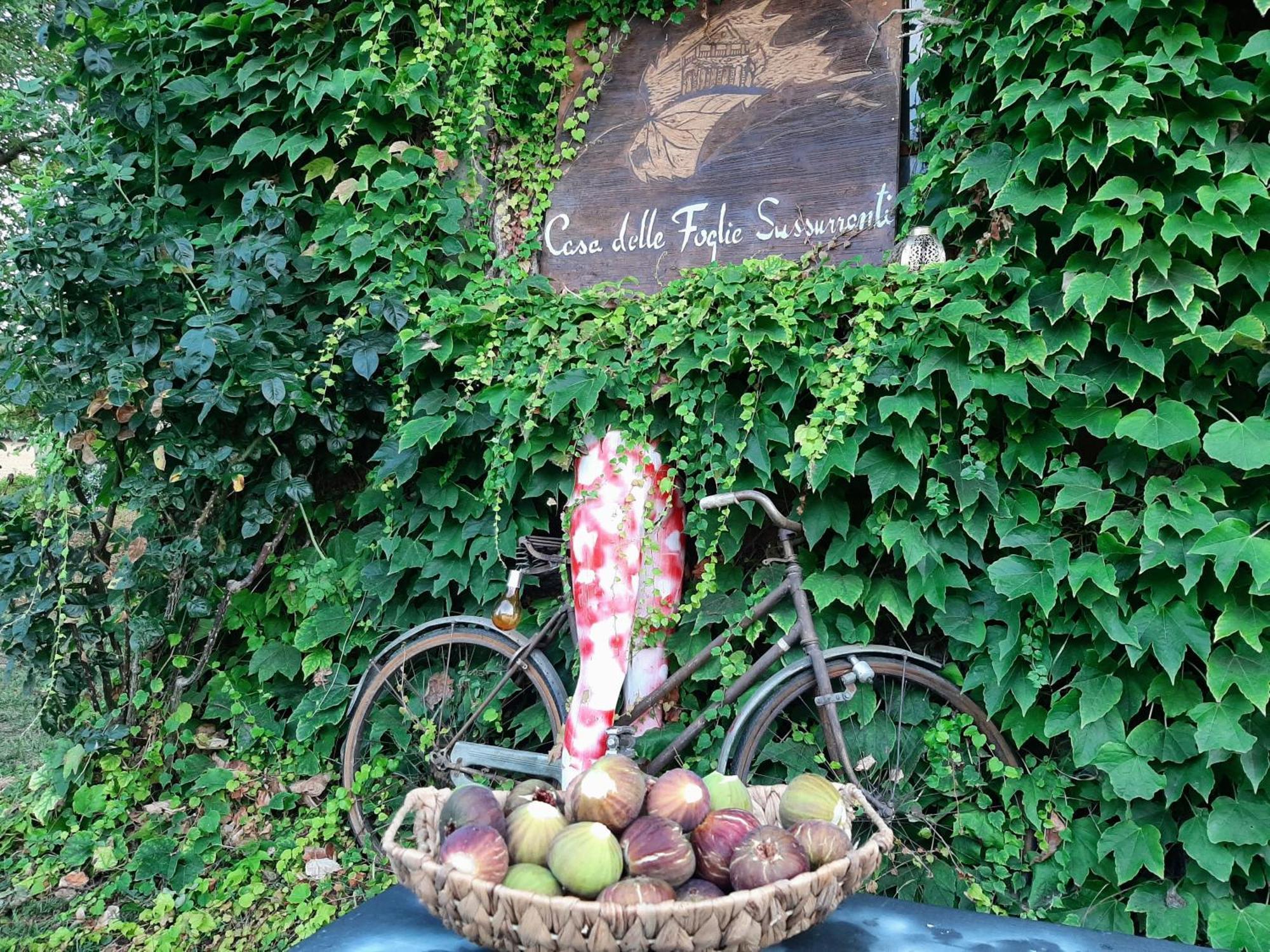 Willa Casa Delle Foglie Sussurranti Asti Zewnętrze zdjęcie